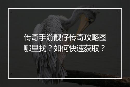 传奇手游靓仔传奇攻略图哪里找？如何快速获取？