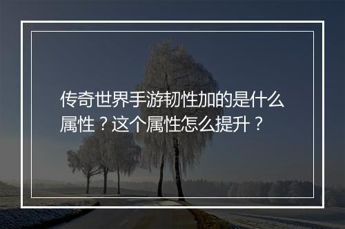 传奇世界手游韧性加的是什么属性？这个属性怎么提升？
