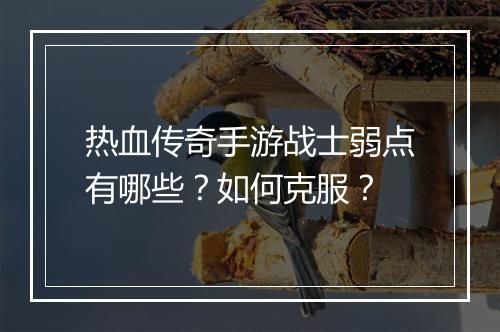 热血传奇手游战士弱点有哪些？如何克服？