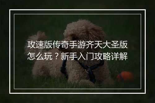 攻速版传奇手游齐天大圣版怎么玩？新手入门攻略详解