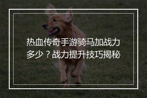 热血传奇手游骑马加战力多少？战力提升技巧揭秘