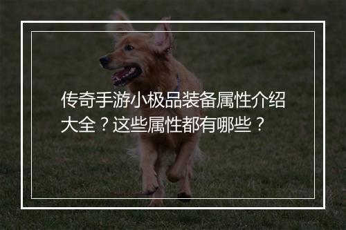 传奇手游小极品装备属性介绍大全？这些属性都有哪些？