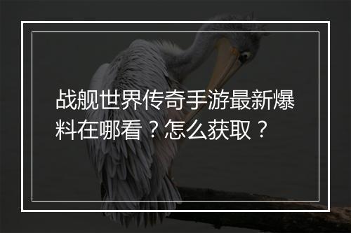 战舰世界传奇手游最新爆料在哪看？怎么获取？