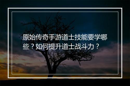 原始传奇手游道士技能要学哪些？如何提升道士战斗力？