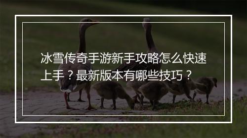 冰雪传奇手游新手攻略怎么快速上手？最新版本有哪些技巧？