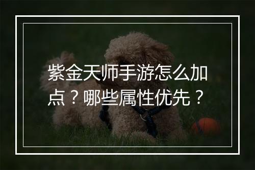 紫金天师手游怎么加点？哪些属性优先？