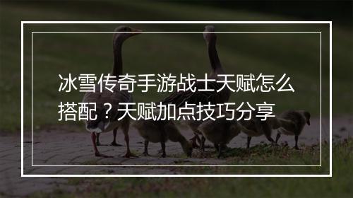 冰雪传奇手游战士天赋怎么搭配？天赋加点技巧分享
