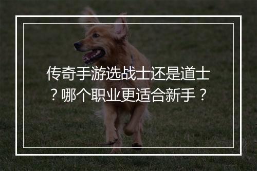 传奇手游选战士还是道士？哪个职业更适合新手？