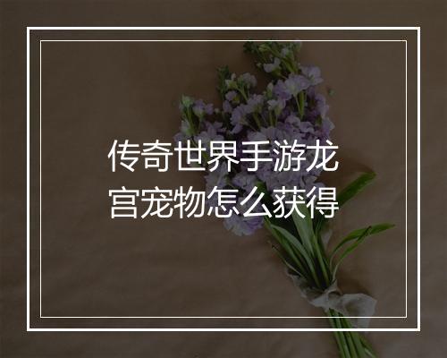 传奇世界手游龙宫宠物怎么获得