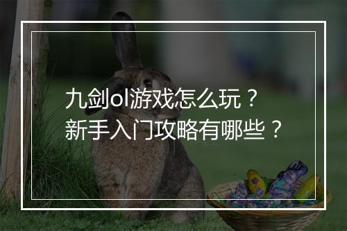 九剑ol游戏怎么玩？新手入门攻略有哪些？
