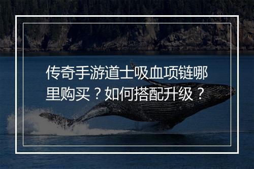传奇手游道士吸血项链哪里购买？如何搭配升级？