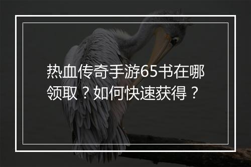 热血传奇手游65书在哪领取？如何快速获得？