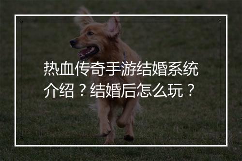 热血传奇手游结婚系统介绍？结婚后怎么玩？