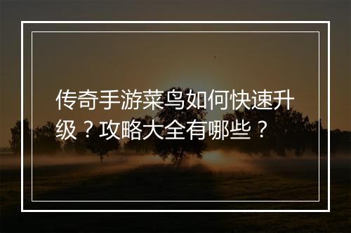 传奇手游菜鸟如何快速升级？攻略大全有哪些？