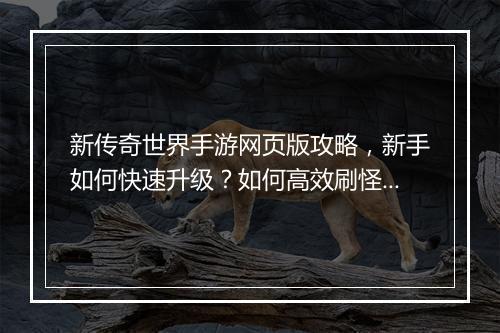 新传奇世界手游网页版攻略，新手如何快速升级？如何高效刷怪？