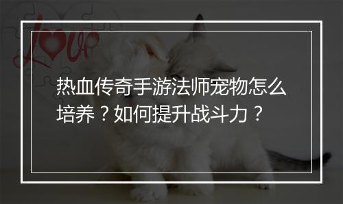 热血传奇手游法师宠物怎么培养？如何提升战斗力？