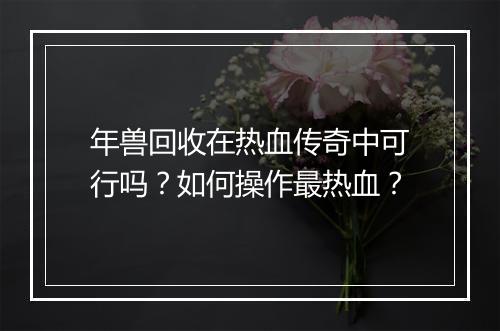 年兽回收在热血传奇中可行吗？如何操作最热血？