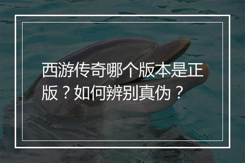 西游传奇哪个版本是正版？如何辨别真伪？
