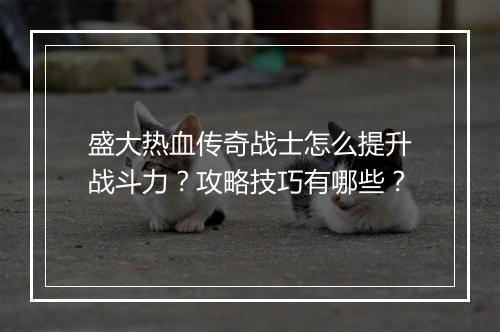 盛大热血传奇战士怎么提升战斗力？攻略技巧有哪些？