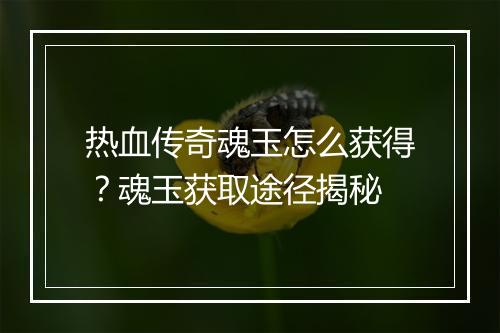 热血传奇魂玉怎么获得？魂玉获取途径揭秘