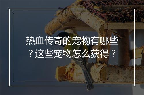 热血传奇的宠物有哪些？这些宠物怎么获得？