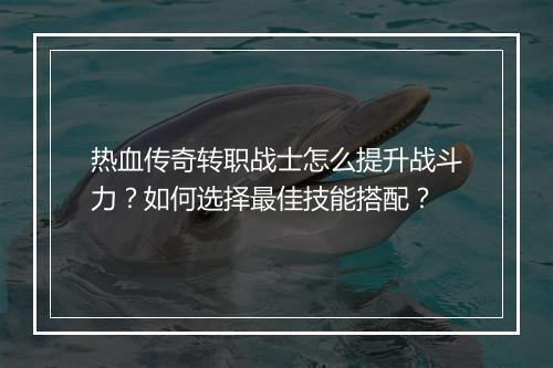 热血传奇转职战士怎么提升战斗力？如何选择最佳技能搭配？