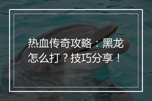 热血传奇攻略：黑龙怎么打？技巧分享！