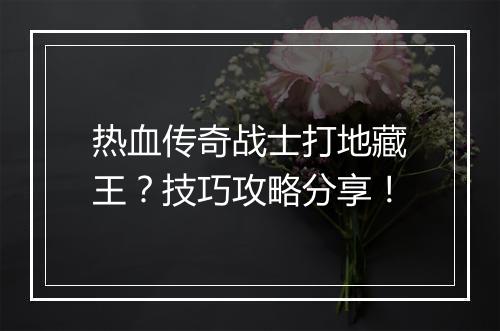 热血传奇战士打地藏王？技巧攻略分享！