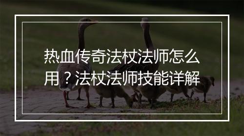热血传奇法杖法师怎么用？法杖法师技能详解