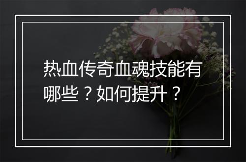 热血传奇血魂技能有哪些？如何提升？
