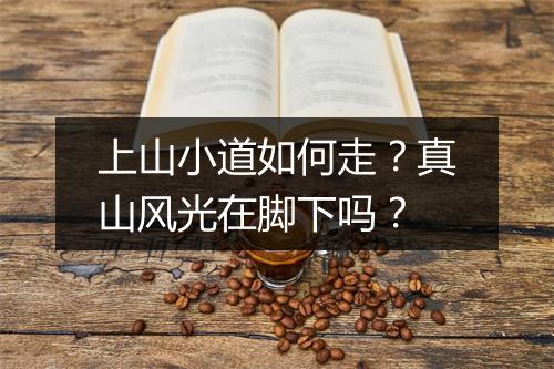 上山小道如何走？真山风光在脚下吗？