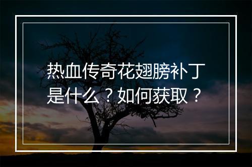 热血传奇花翅膀补丁是什么？如何获取？