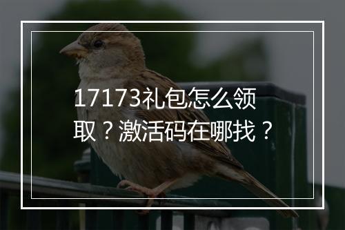 17173礼包怎么领取？激活码在哪找？