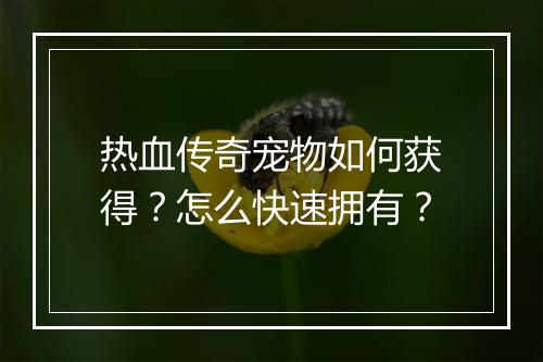 热血传奇宠物如何获得？怎么快速拥有？