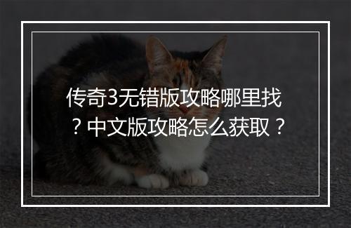 传奇3无错版攻略哪里找？中文版攻略怎么获取？