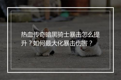 热血传奇暗黑骑士暴击怎么提升？如何最大化暴击伤害？
