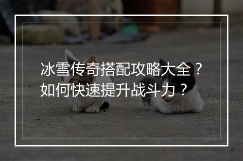 冰雪传奇搭配攻略大全？如何快速提升战斗力？
