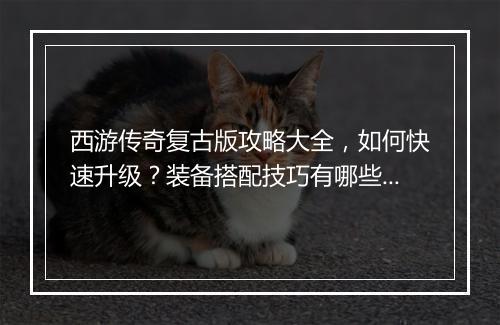西游传奇复古版攻略大全，如何快速升级？装备搭配技巧有哪些？