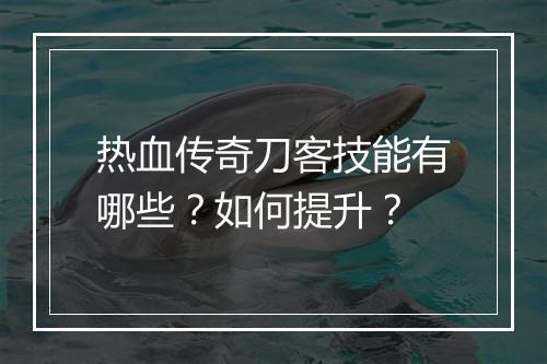 热血传奇刀客技能有哪些？如何提升？