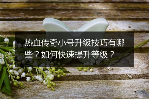 热血传奇小号升级技巧有哪些？如何快速提升等级？