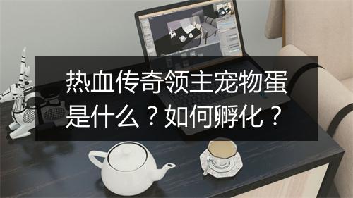 热血传奇领主宠物蛋是什么？如何孵化？