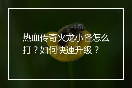 热血传奇火龙小怪怎么打？如何快速升级？