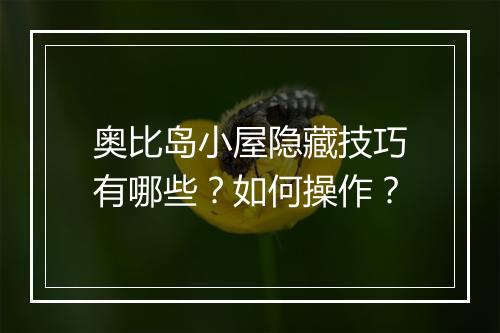 奥比岛小屋隐藏技巧有哪些？如何操作？
