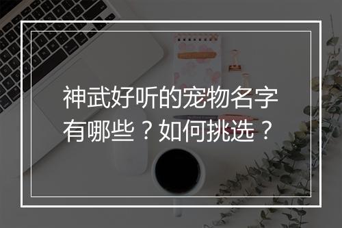 神武好听的宠物名字有哪些？如何挑选？