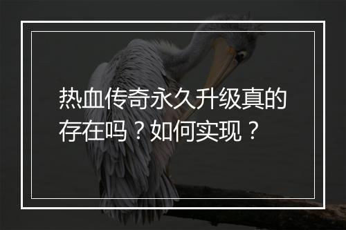 热血传奇永久升级真的存在吗？如何实现？