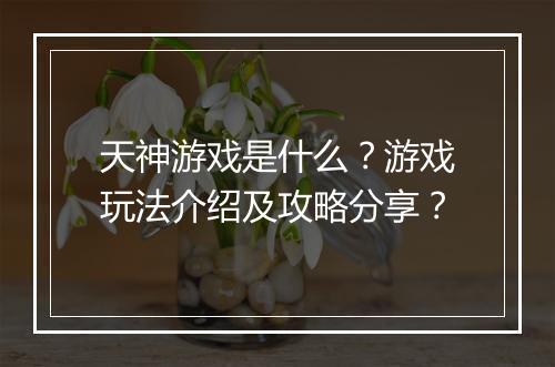 天神游戏是什么？游戏玩法介绍及攻略分享？