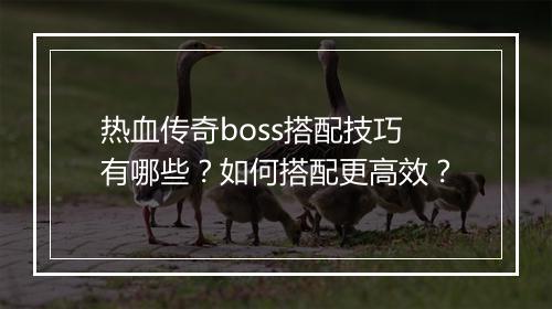 热血传奇boss搭配技巧有哪些？如何搭配更高效？