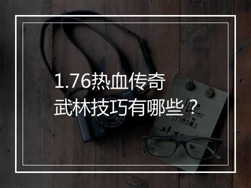 1.76热血传奇武林技巧有哪些？