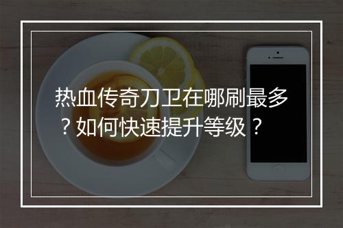热血传奇刀卫在哪刷最多？如何快速提升等级？