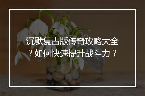 沉默复古版传奇攻略大全？如何快速提升战斗力？